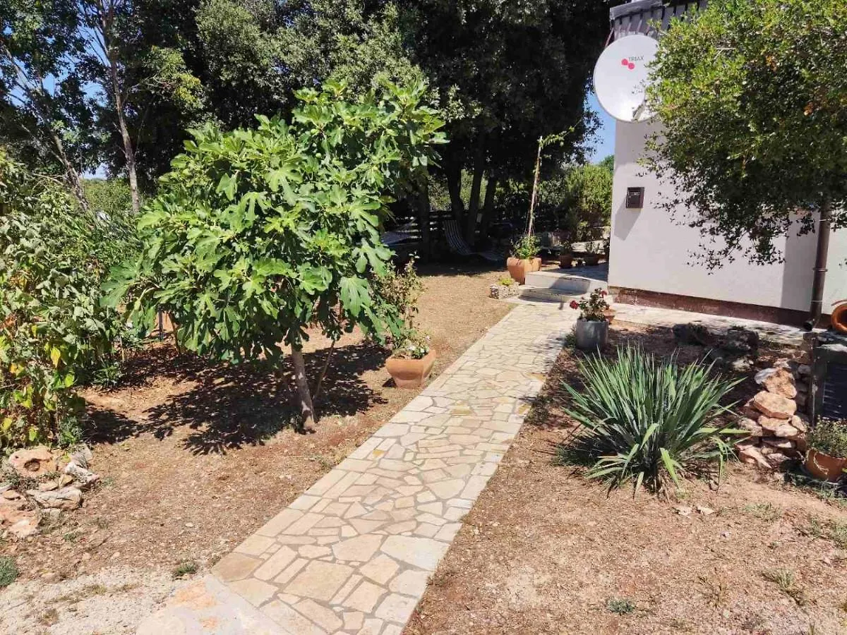 Viva 2 Rovinj Apartment Croatia